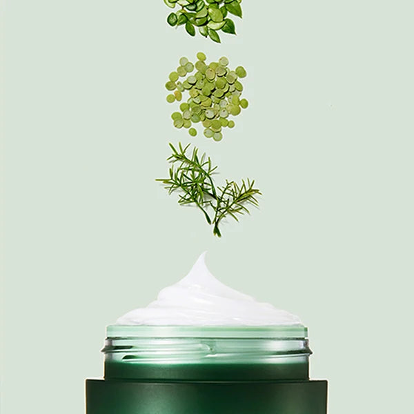 Laneige 韓國 積雪草 細胞修復補濕睡眠面膜 60ml