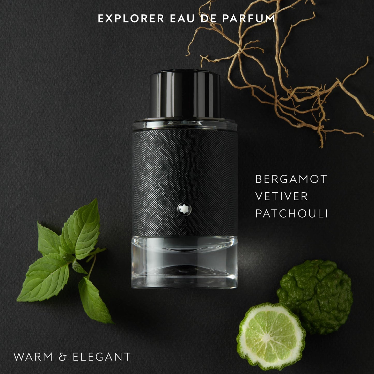 Montblanc 德國 探索者男士香水 EDP 100ml