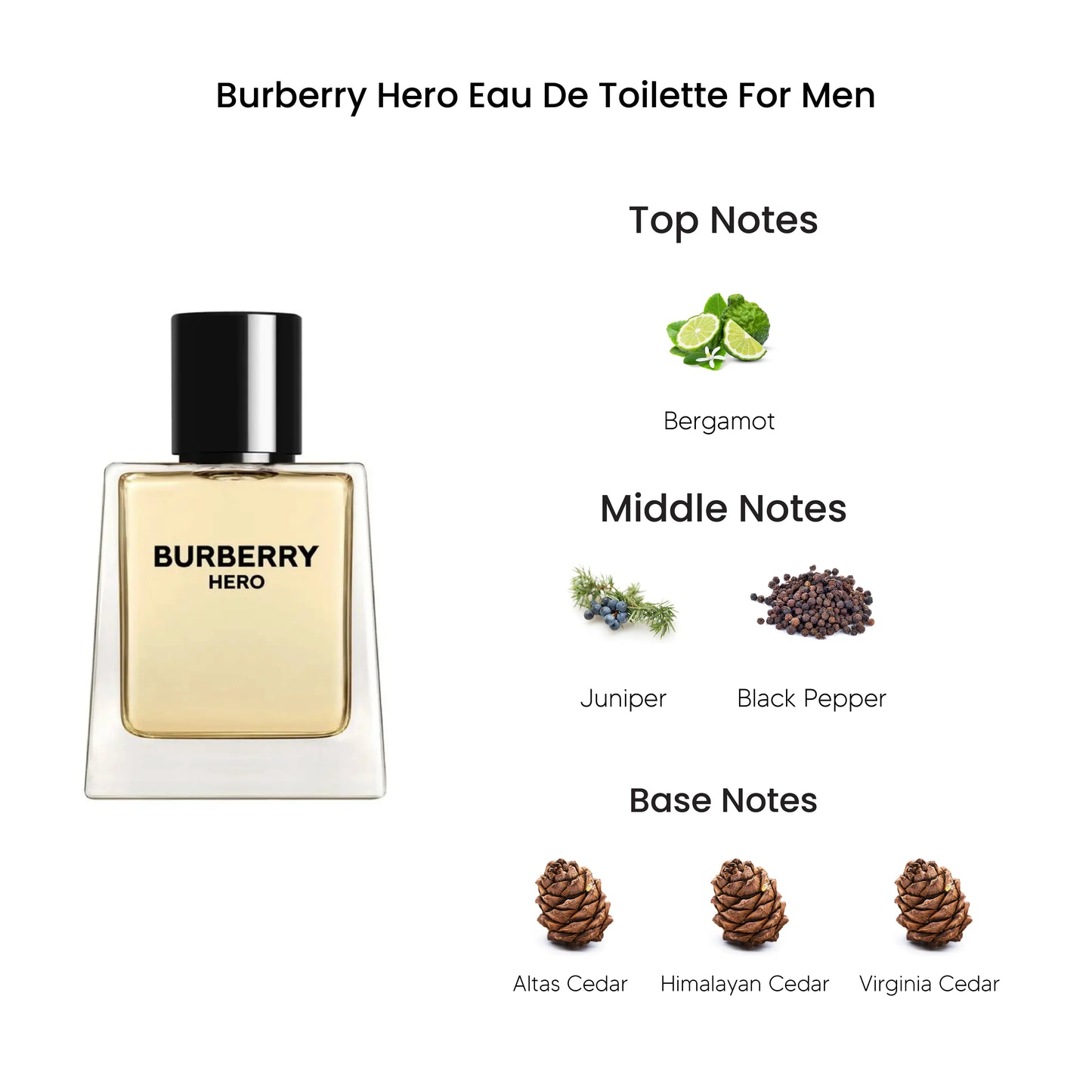 Burberry 英國 駿勇之心男士淡香水 100ml