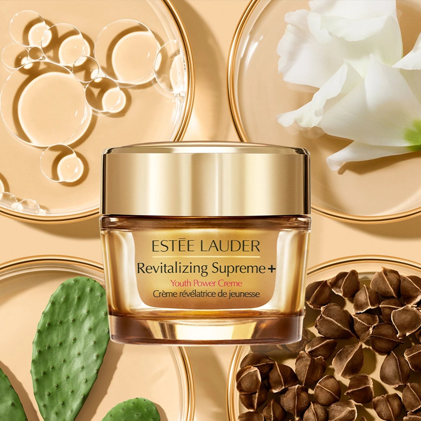 Estee Lauder 新生活膚彈活柔嫩面霜 (滋潤) 75ml